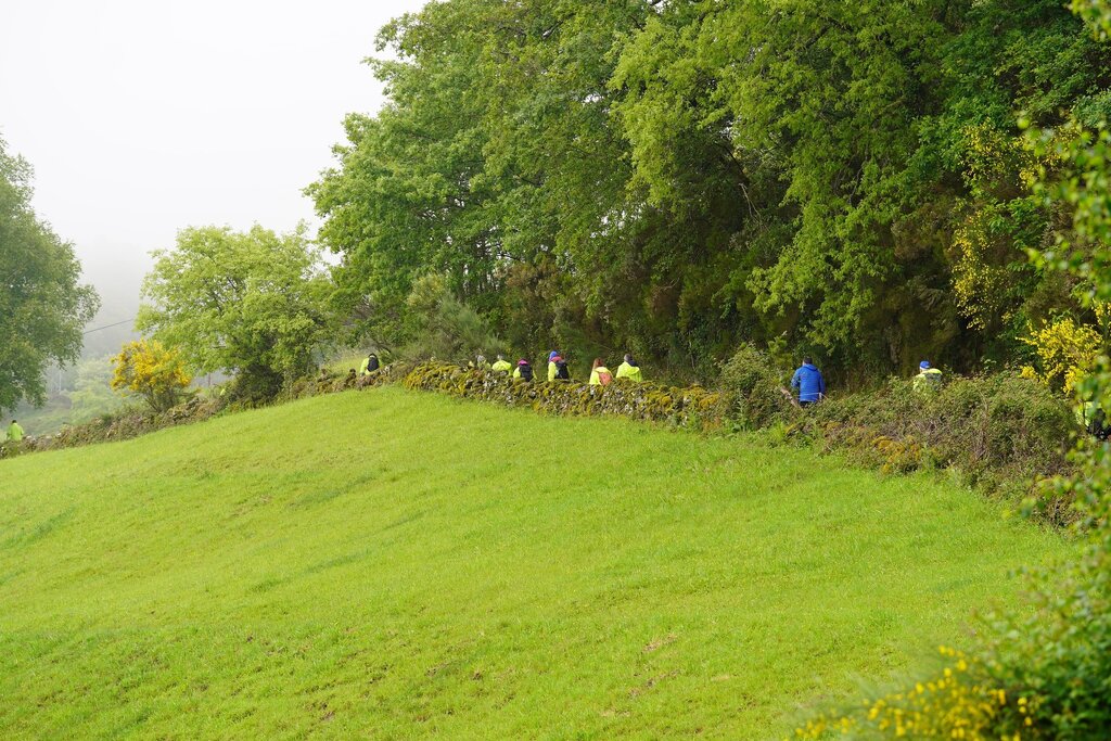 Carrilheiras de Barroso (Trilho Outeiro-Parada) (11)