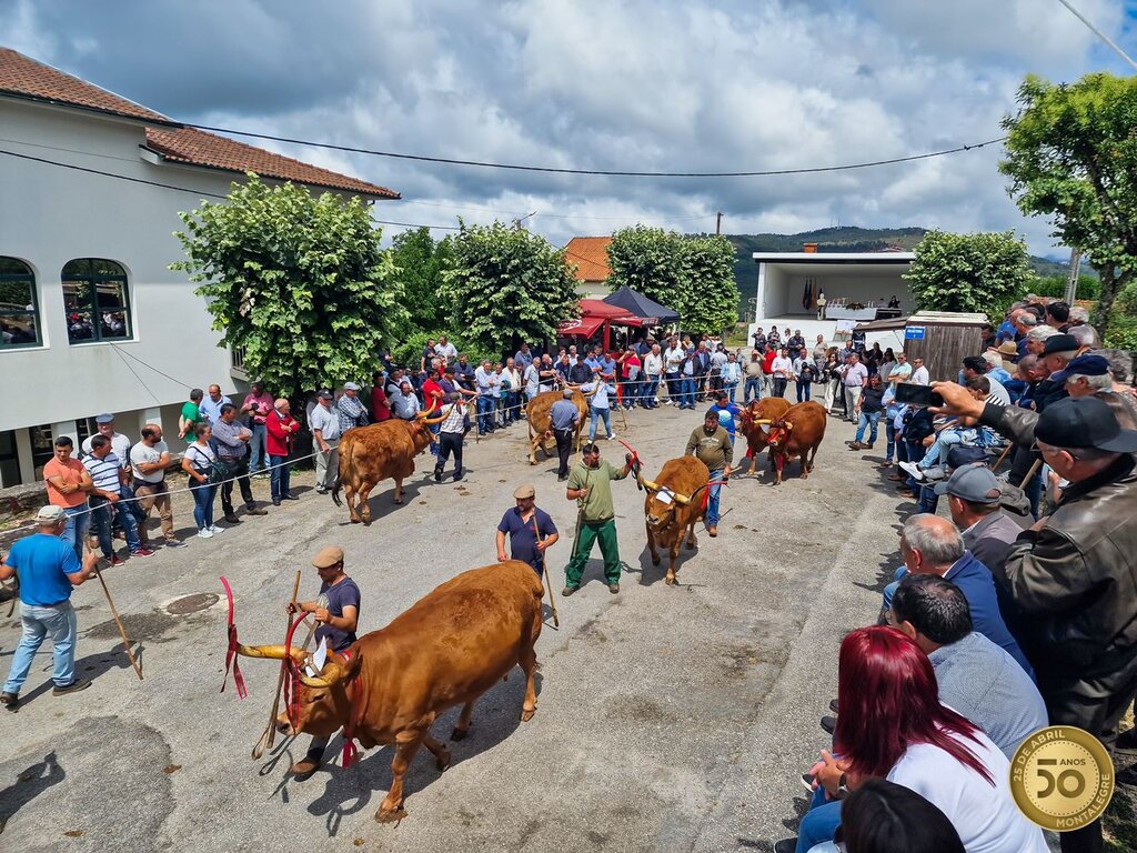 Venda Nova (concurso pecuário 2024) (8)