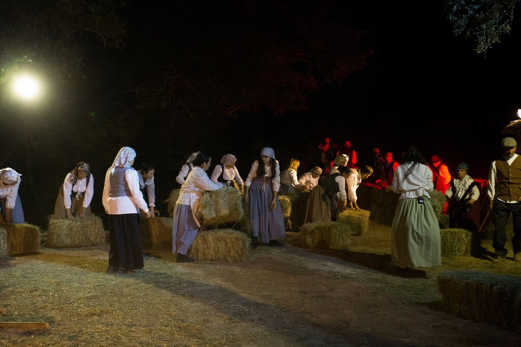 Festa da Misarela 2024 (85)
