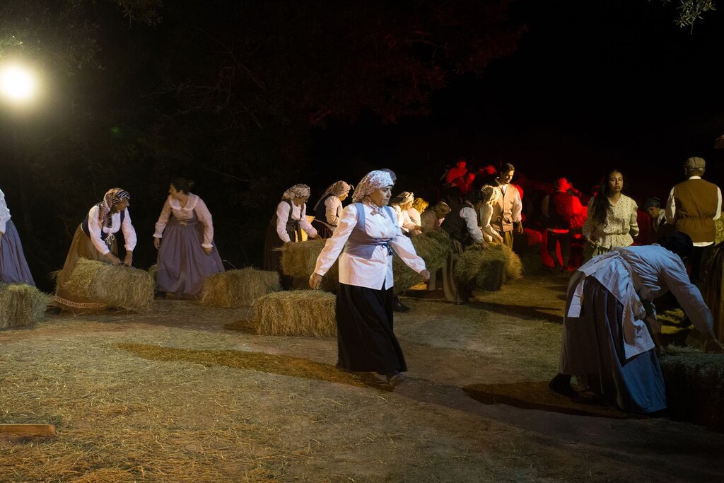 Festa da Misarela 2024 (88)
