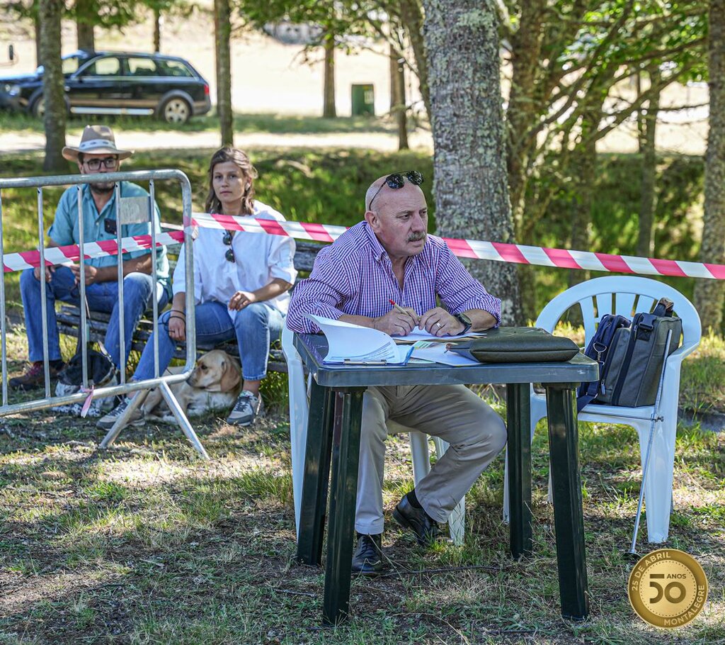 Montalegre - XIV Encontro Norte (Perdigueiro Português) (21)