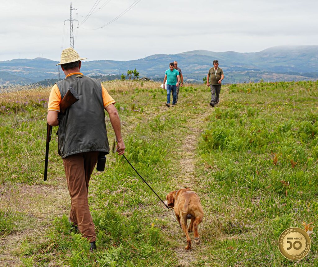 Montalegre - XIV Encontro Norte (Perdigueiro Português) (28)