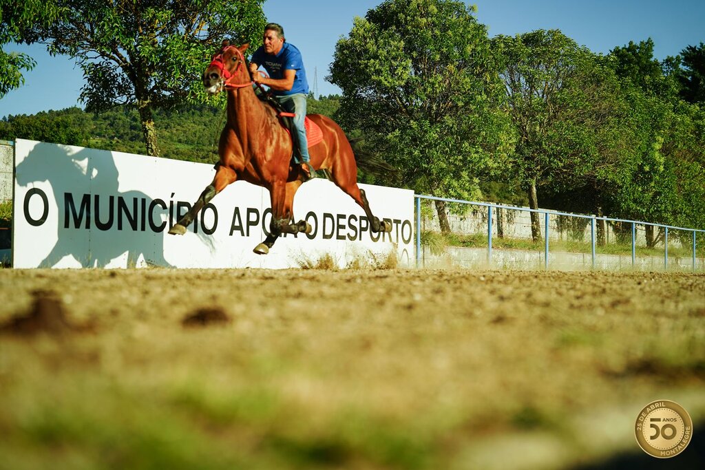 Corrida de Cavalos 2024 (21)