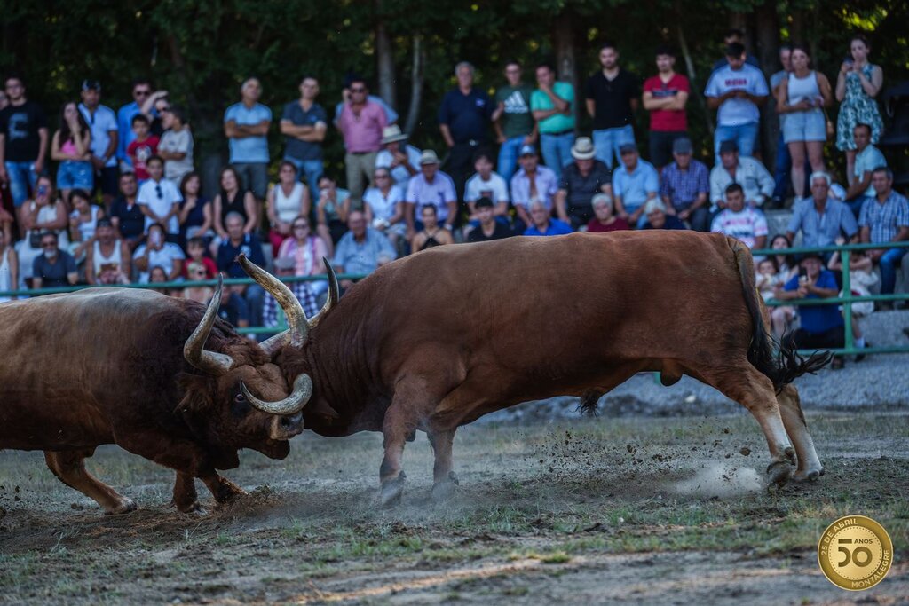 Senhor da Piedade 2024 (Chegas) (5)