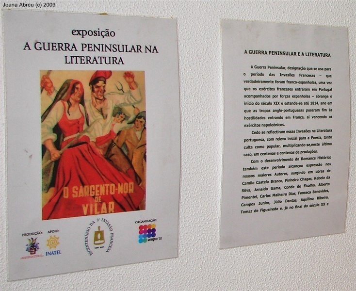 “A guerra peninsular na literatura