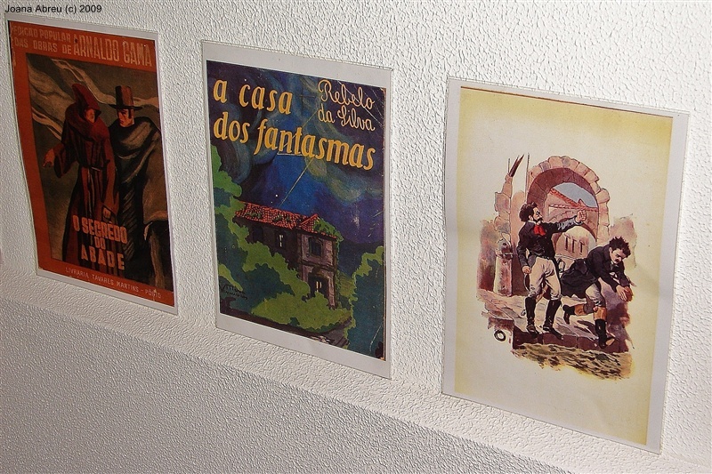 “A guerra peninsular na literatura