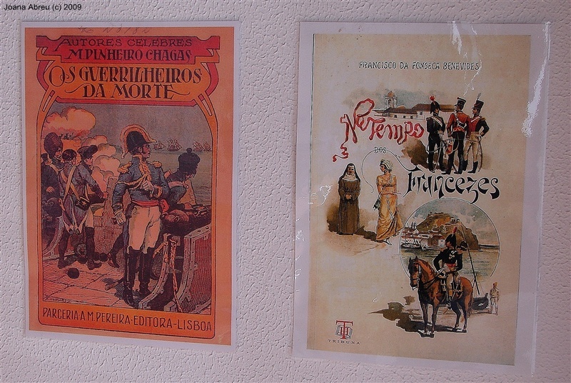 “A guerra peninsular na literatura