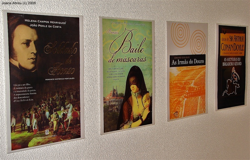 “A guerra peninsular na literatura