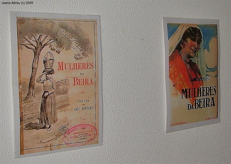 “A guerra peninsular na literatura