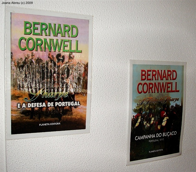 “A guerra peninsular na literatura