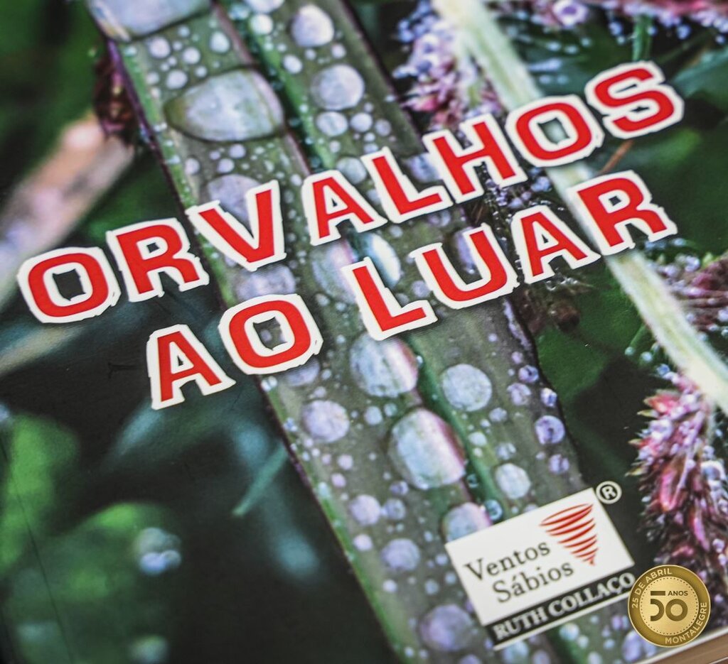 Livro (Orvalhos ao Luar) Acácio Costa (2)