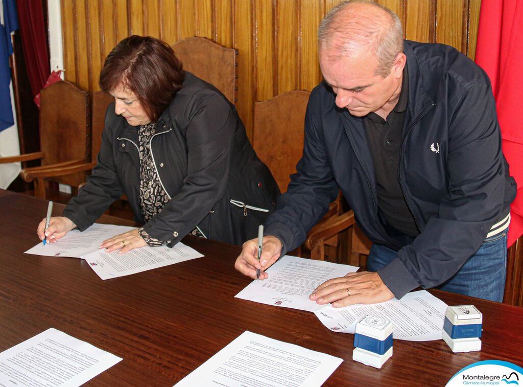 cmm___clubes__protocolo_2024_2025___6_