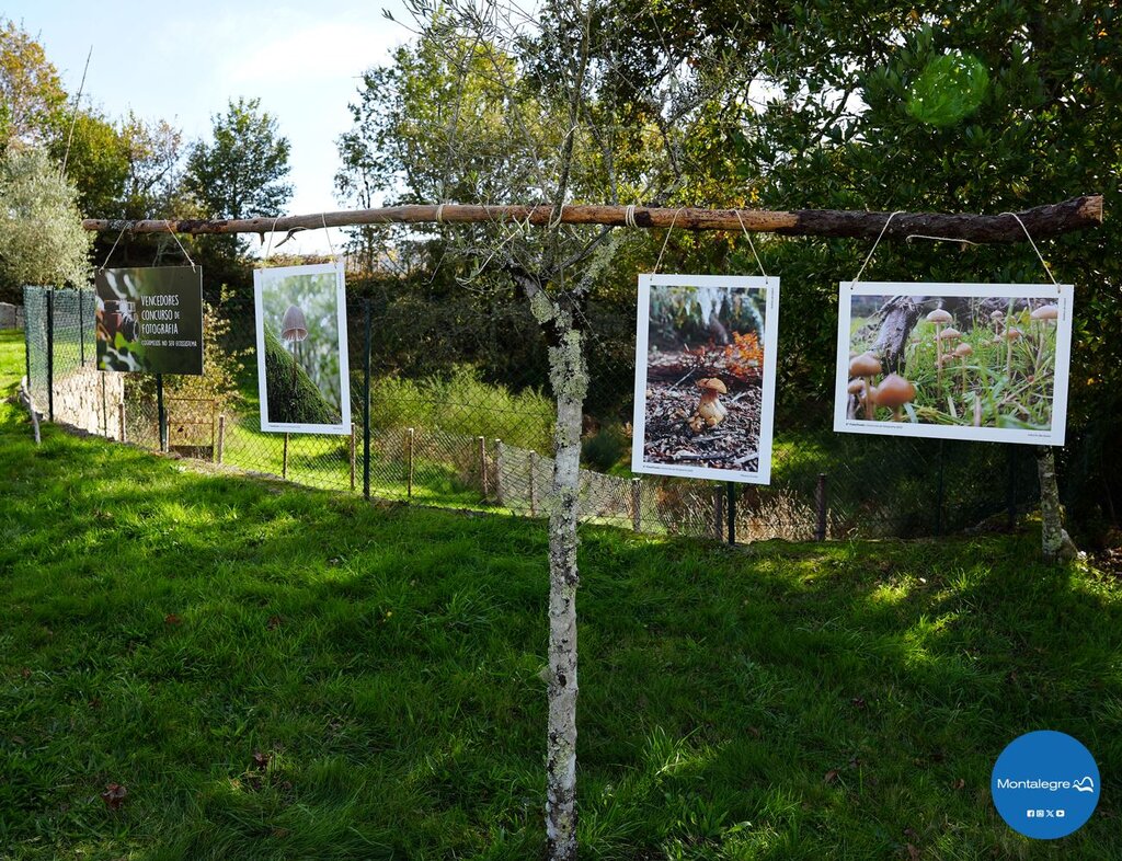 sao_lourenco__cabril__vi_encontro_micologico__2_