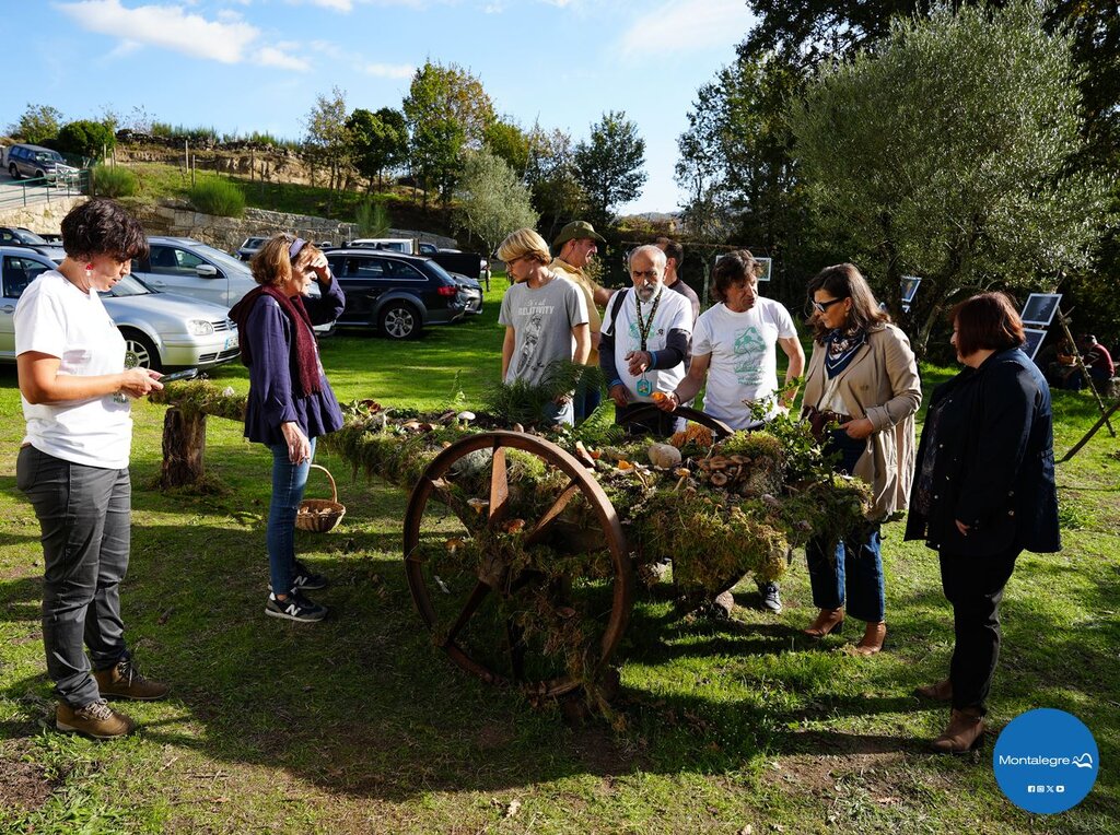 sao_lourenco__cabril__vi_encontro_micologico__7_
