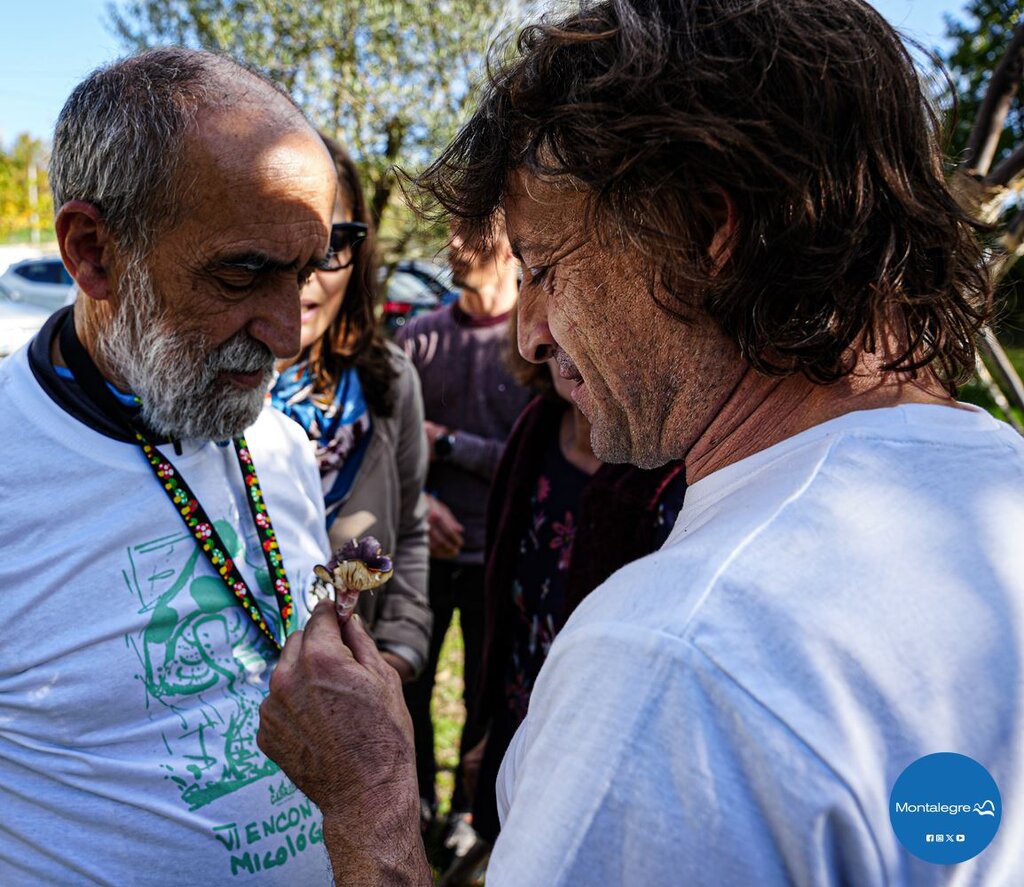 sao_lourenco__cabril__vi_encontro_micologico__9_