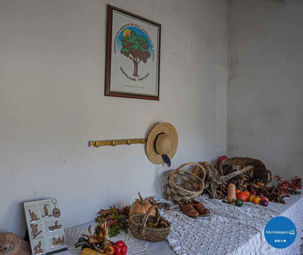 sao_lourenco__cabril__vi_encontro_micologico__11_