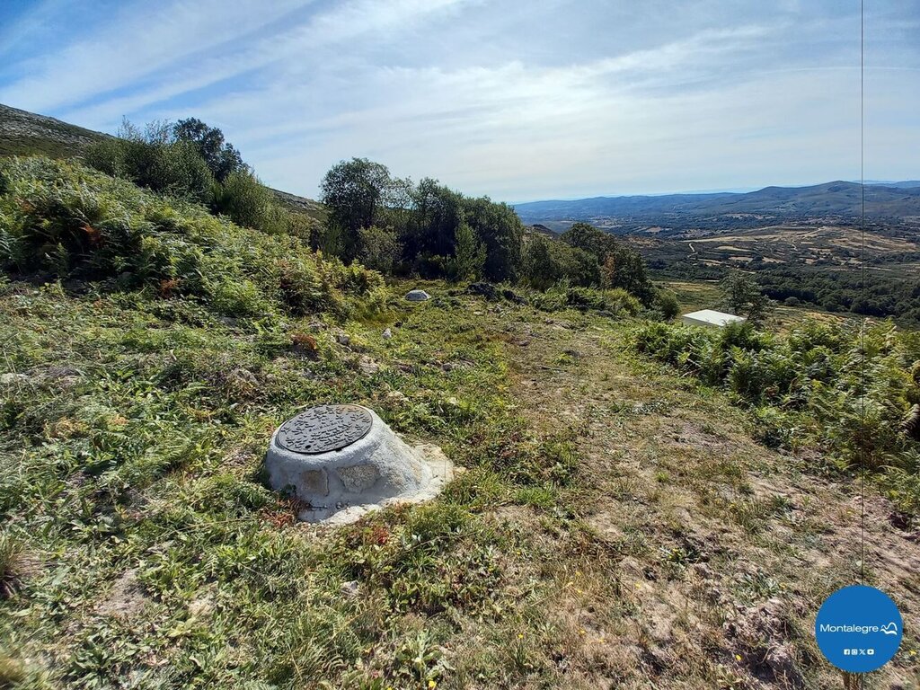 gralhas__captacoes___2024___5_