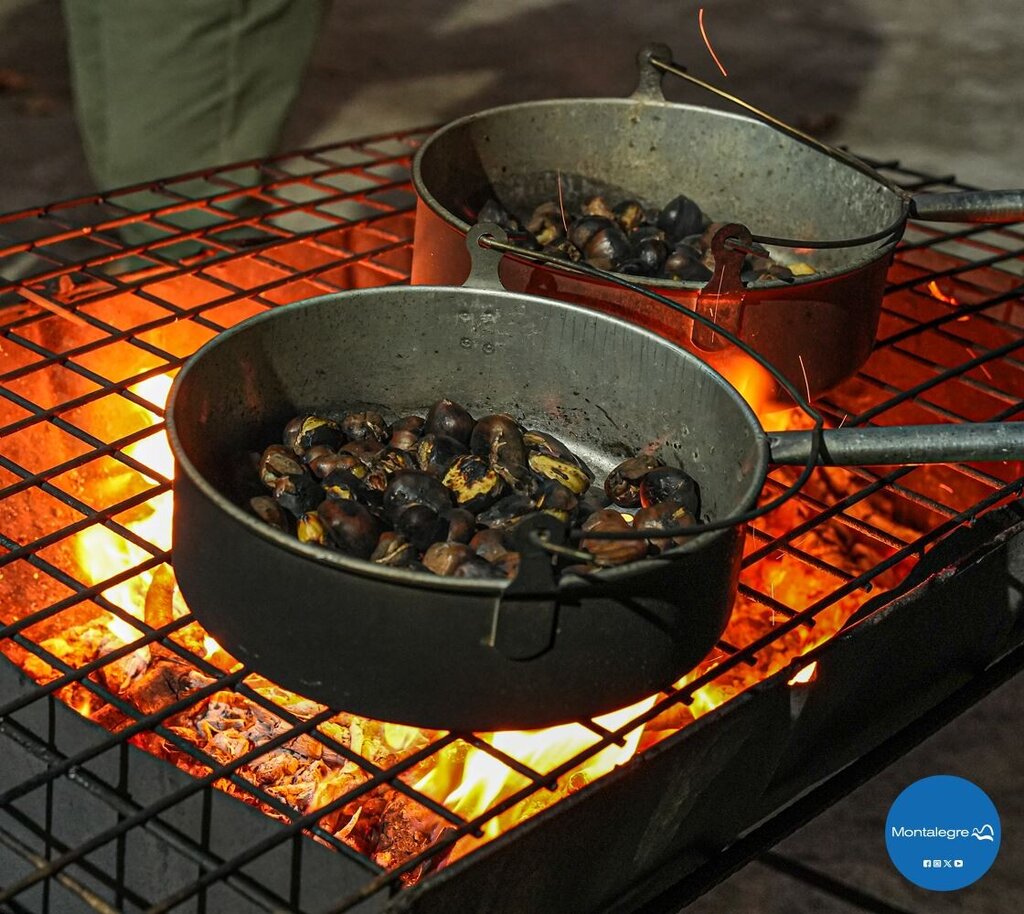 Tourém - Magusto 2024 (7)