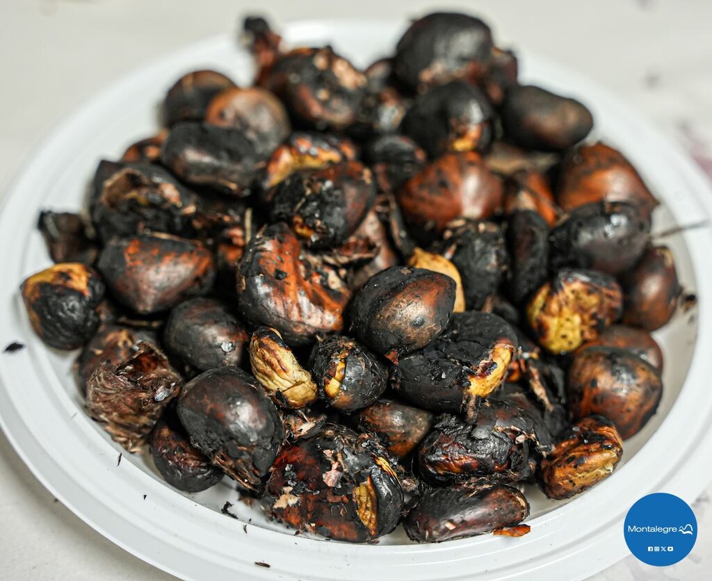 Negrões (Magusto 2024) (3)