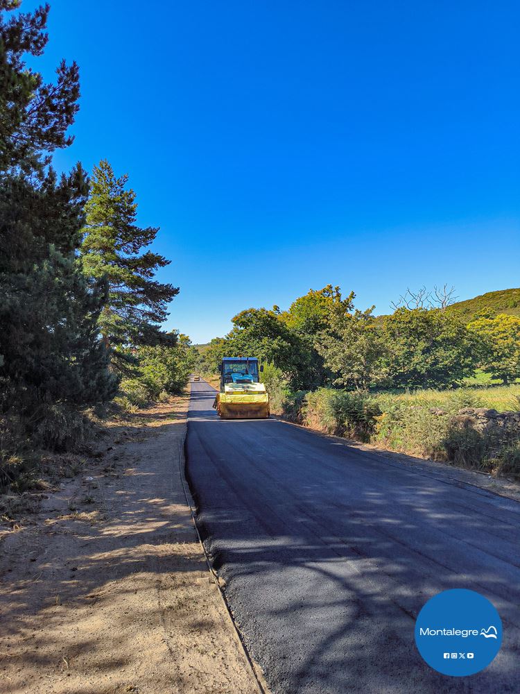 Estrada Carvalhais-Morgade 2024 (13)