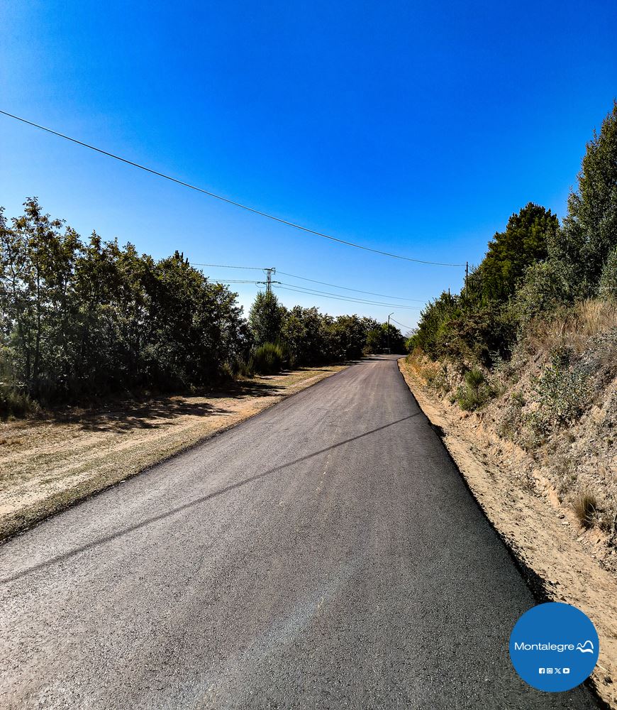 Estrada Carvalhais-Morgade 2024 (15)