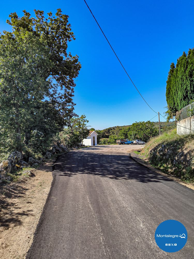 Estrada Carvalhais-Morgade 2024 (17)