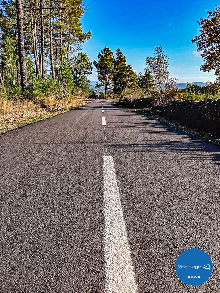 Estrada Carvalhais-Morgade 2024 (21)
