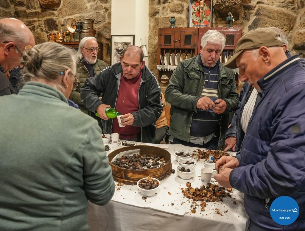Salto (Ecomuseu) - Magusto 2024 (14)