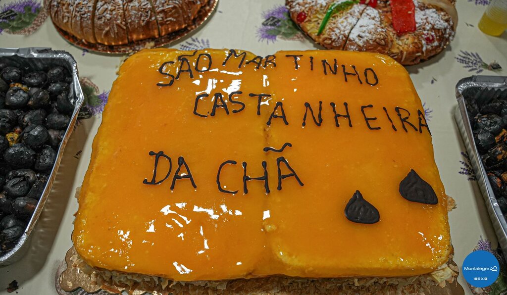 Castanheira (Magusto 2024) (5)