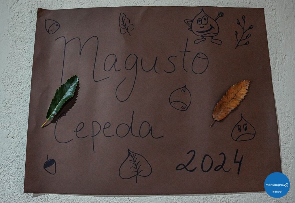 Cepeda (Magusto 2024) (10)
