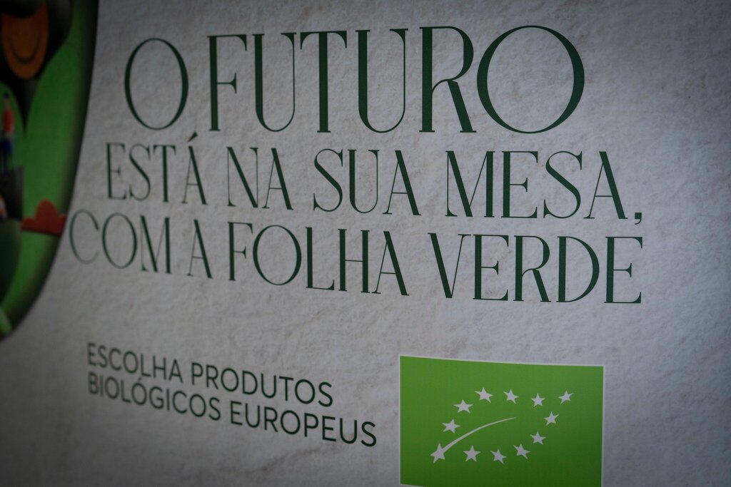 MONTALEGRE - FÓRUM (BALDIOS - QUE FUTURO) 23
