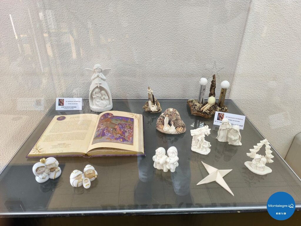 XIV Exposição de Presépios (Biblioteca Municipal) (3)