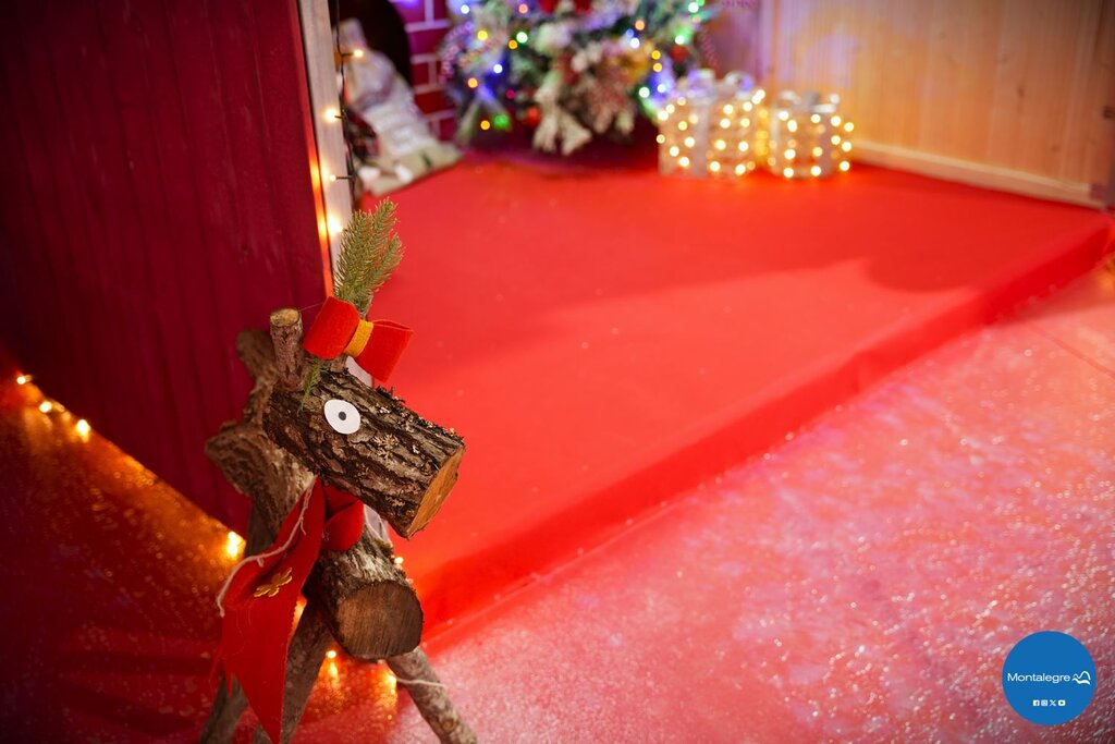 montalegre___animacao_de_natal__5_