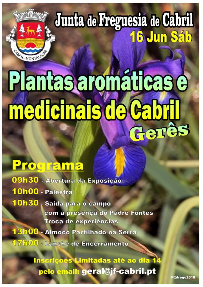 Cabril plantas aromaticas e medicinais 1 1024 2500