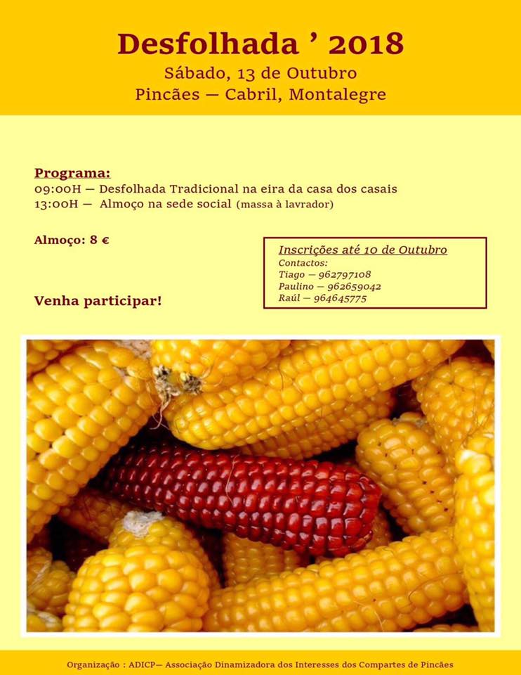 Pincaes desfolhada 2018 1 1024 2500