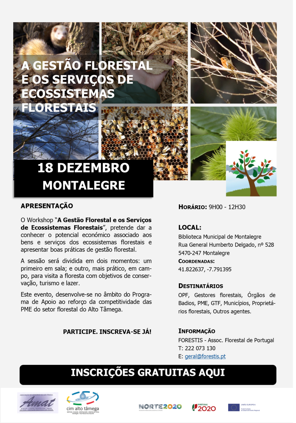 Ws servicosecossistemasflorestais 18dez montalegre 1 1024 2500