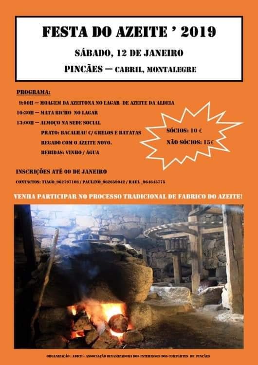Pincaes festa do azeite 2019 12 janeiro 1 1024 2500
