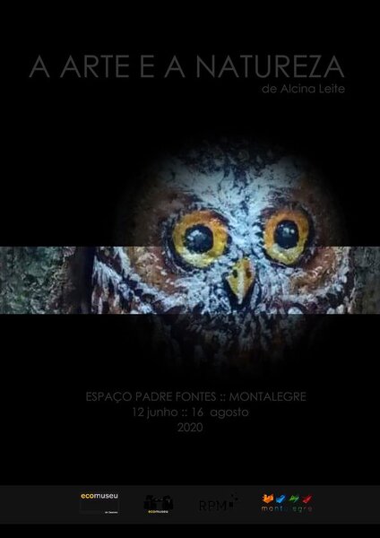 95957522 3228055367207412 8941972252136570880 o 1 480 600