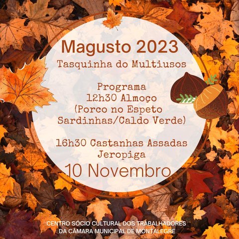 magusto_2023