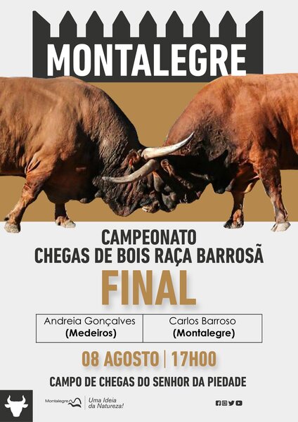 chega_de_bois_final