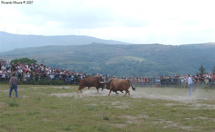 Arrancou Campeonato Chegas de Bois