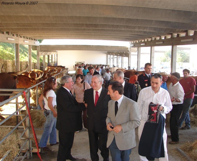 VII Feira da Vitela inaugurada
