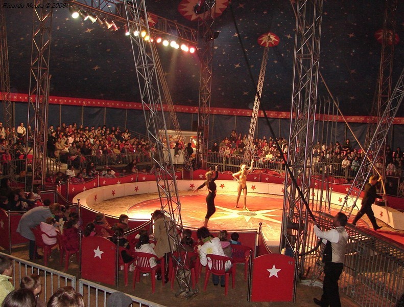 Autarquia leva crianças ao circo