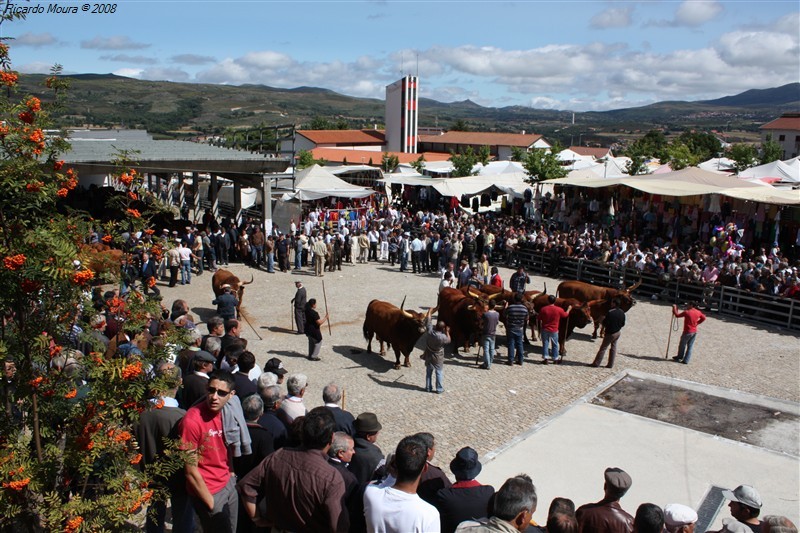 Feira do prémio em Montalegre