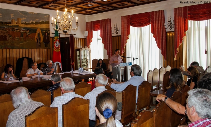 Assembleia Municipal - 28 Junho 2013