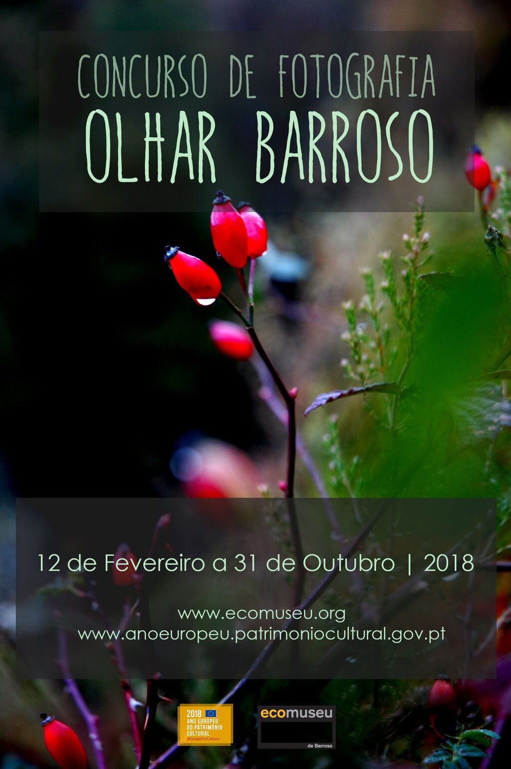 Concurso fotográfico "Olhar Barroso" | Até 31 outubro