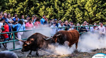 torneio_chegas_de_bois_2018__final___22_