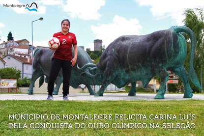 Carina luis  felicitacao cmm  1 415 415