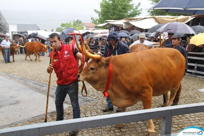 montalegre___feira_do_premio_2019__11_