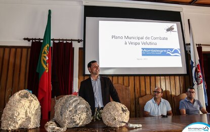 montalegre__palestra___vespa_asiatica___2_